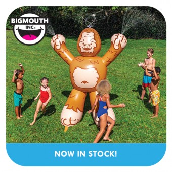 BIGMOUTH INC - SUMMER 2023 PRE-ORDER - IN STOCK NOW